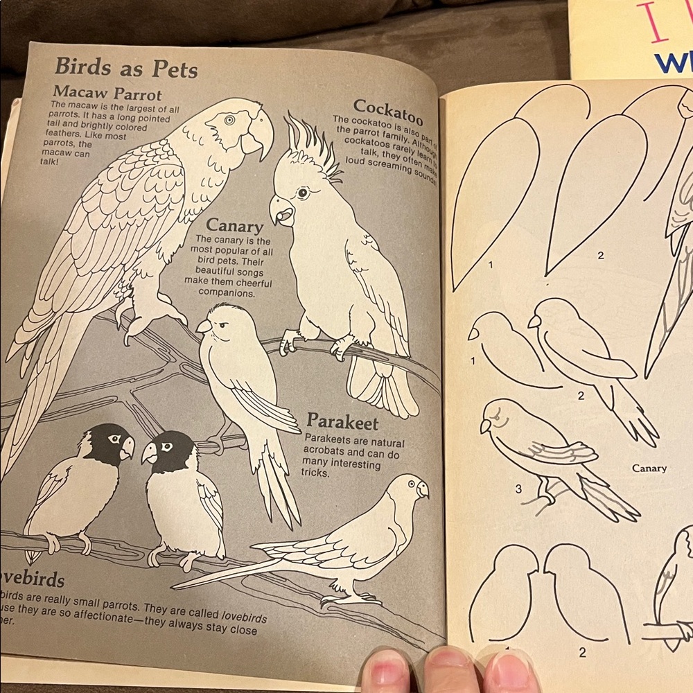 Bird and Rainforest Book Set - Picture 11 of 15